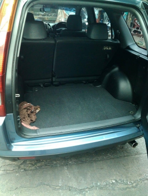 CRV  สวยๆ ประกันชั้น1 มือเดียวป้ายแดง