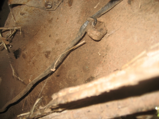 อีชูชุ  ดัมพ์  2 เพลา เกียร์กลาง  เครื่อง 165 แรง  475,000 บาท// ปรับลด 460,000 บาท