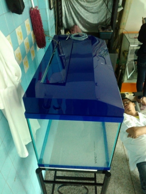 ตู้ปลา ขาตั้งตู้ พร้อมอุปกรณ์ครบชุด ตู้ปลา ขาตั้งตู้ พร้อมอุปกรณ์ครบชุด