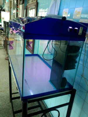 ตู้ปลา ขาตั้งตู้ พร้อมอุปกรณ์ครบชุด ตู้ปลา ขาตั้งตู้ พร้อมอุปกรณ์ครบชุด