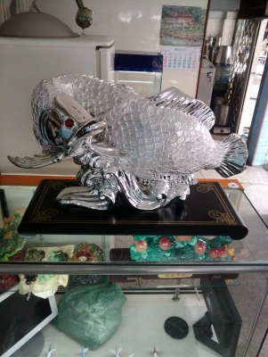 ปลาสีเงิน  มงคลขนาดใหญ่