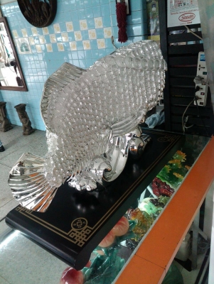 ปลาสีเงิน  มงคลขนาดใหญ่
