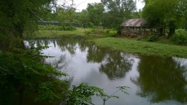 ขายที่สำหรับบ่อดิน หรือทำรีสอร์ท อยู่ในเขตอำเภอเมืองอุดรธานี แต่อยู่รอบนอกมีทั้งหมด 11 ไร่ ไร่ละ 350,000 ต.นิคม เส้นไปจังหวัดหนองบัวลำภู ที่สวยมากติดถนนทั้งสองทาง เอกสารเป็นโฉนดครับ ขายที่สำหรับบ่อดิน หรือทำรีสอร์ท อยู่ในเขตอำเภอเมืองอุดรธานี แต่อยู่รอบนอกมีทั้งหมด 11 ไร่ ไร่ละ 350,000 ต.นิคม เส้นไปจังหวัดหนองบัวลำภู ที่สวยมากติดถนนทั้งสองทาง เอกสารเป็นโฉนดครับ