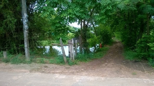 ขายที่สำหรับบ่อดิน หรือทำรีสอร์ท อยู่ในเขตอำเภอเมืองอุดรธานี แต่อยู่รอบนอกมีทั้งหมด 11 ไร่ ไร่ละ 350,000 ต.นิคม เส้นไปจังหวัดหนองบัวลำภู ที่สวยมากติดถนนทั้งสองทาง เอกสารเป็นโฉนดครับ ขายที่สำหรับบ่อดิน หรือทำรีสอร์ท อยู่ในเขตอำเภอเมืองอุดรธานี แต่อยู่รอบนอกมีทั้งหมด 11 ไร่ ไร่ละ 350,000 ต.นิคม เส้นไปจังหวัดหนองบัวลำภู ที่สวยมากติดถนนทั้งสองทาง เอกสารเป็นโฉนดครับ