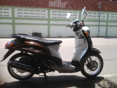 ฟีโน่ปี51 ฟีโน่ปี51