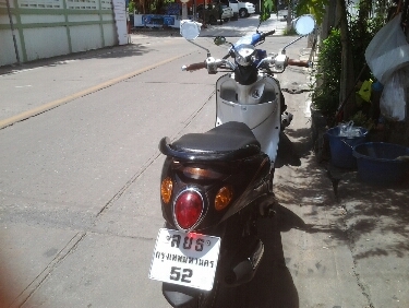 ฟีโน่ปี51 ฟีโน่ปี51