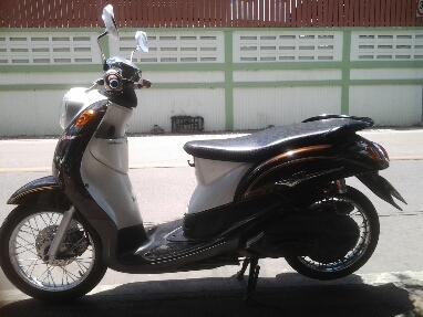 ฟีโน่ปี51 ฟีโน่ปี51