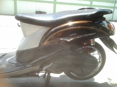 ฟีโน่ปี51 ฟีโน่ปี51