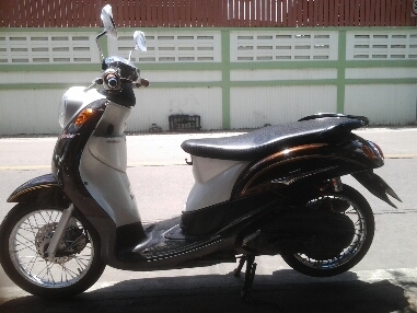 ฟีโน่ปี51