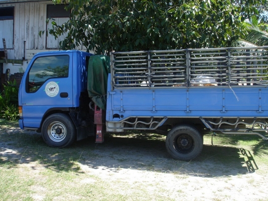 ขายรถบรรทุก isuzu elf 6ล้อ ติดเฮี้ยบ