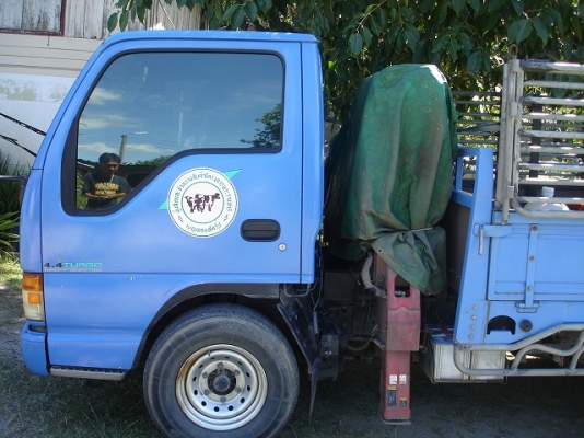 ขายรถบรรทุก isuzu elf 6ล้อ ติดเฮี้ยบ