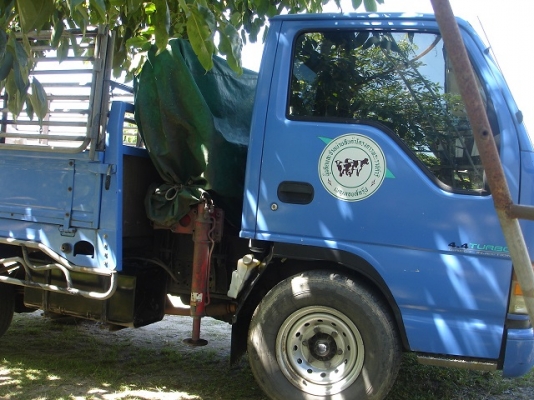 ขายรถบรรทุก isuzu elf 6ล้อ ติดเฮี้ยบ