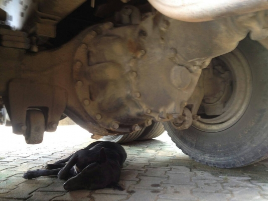 FN627M6 ปี 52 พร้อมใช้งานครับราคาต่อรองใด้ครับ FN627M6 ปี 52 พร้อมใช้งานครับราคาต่อรองใด้ครับ