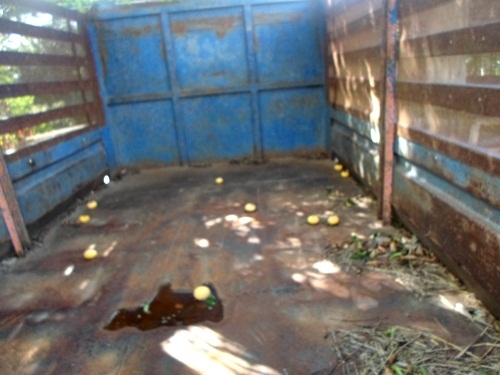 ขายกันไปเลยถูกๆ TLD110แรง ดั้มใชังานขับได้ดี เช็คให้วิ่งกลับบ้านได้เลยครับ