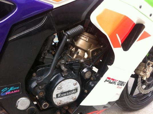 ขายSerpic SE 98