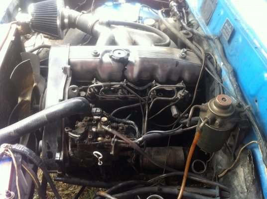 ขายเฉินหลง มีทะเบียน ราคา 27000 บาท ขายเฉินหลง มีทะเบียน ราคา 27000 บาท