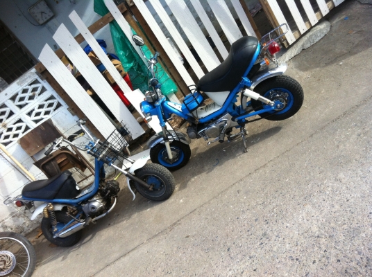 Yamaha chappy เครื่องc70 8000บาท