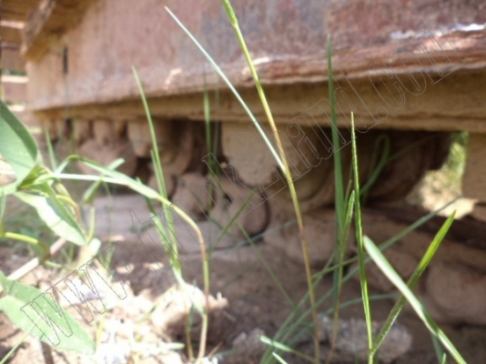 รถแบคโฮ KOMATSU PC120-3