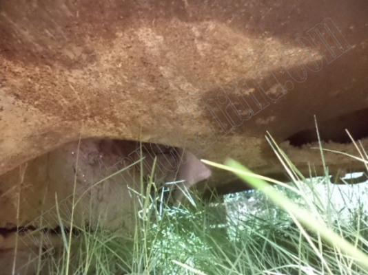 รถแบคโฮ KOMATSU PC120-3