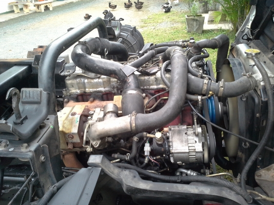 คุณ วิรัตน์ รับรถกลับบ้านแล้วครับ ขอบคุณครับ  6 ล้อดั้ม HINO ดูโท่ 130 แรง เทอร์โบว์ หัวกว้าง ปี 46 แอร์ เพาเวอร์ เบรกทริฟฟี่ รถสวยจัด พร้อมใช้สุดๆ