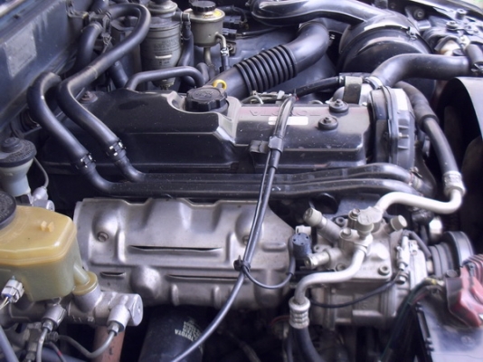 ขาย TOYOTA LN 111 SR5 2.8 รุ่นนำเข้าแท้ๆ สวยๆ สมบูรณ์มาก ขาย TOYOTA LN 111 SR5 2.8 รุ่นนำเข้าแท้ๆ สวยๆ สมบูรณ์มาก