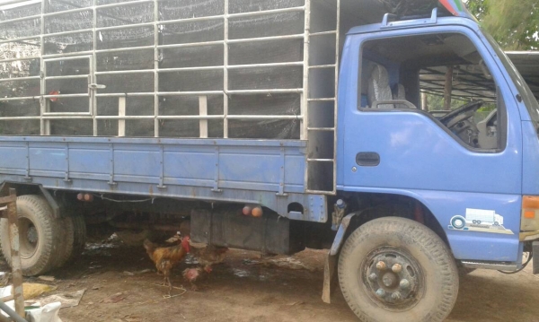 ขายNPR66 ช่วงล่างFหน้า-หลัง