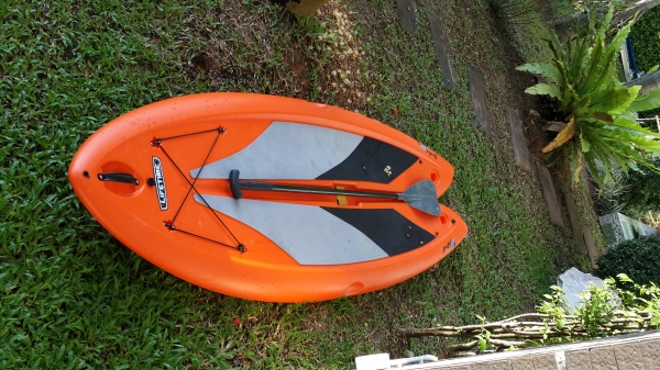 เรือยืนพาย Lifetime