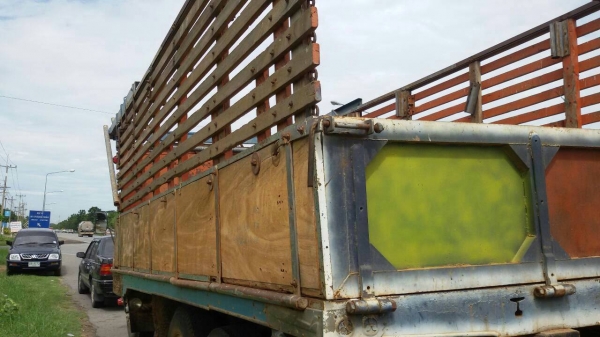 สิบล้อ isuzu เครื่อง 160 แรง 2 เพลา เครื่องดีคันชีสวย ทะเบียนเต็ม สิบล้อ isuzu เครื่อง 160 แรง 2 เพลา เครื่องดีคันชีสวย ทะเบียนเต็ม