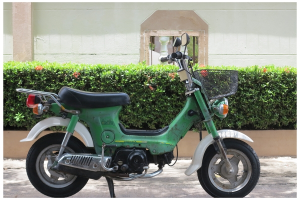 Honda Chaly   มีทะเบียน......(แต่เป็นทะเบียนญี่ปุ่นนะ)