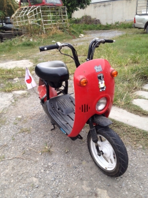 ขาย ซูซูกิ โชอินาริ 50 CC