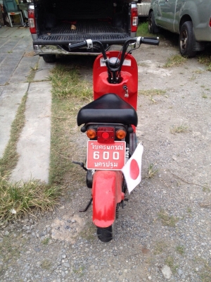 ขาย ซูซูกิ โชอินาริ 50 CC
