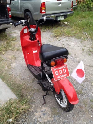 ขาย ซูซูกิ โชอินาริ 50 CC