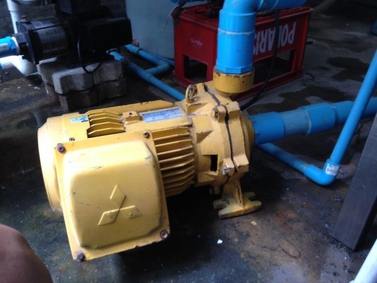 ขายปั๊ม mitsubishi