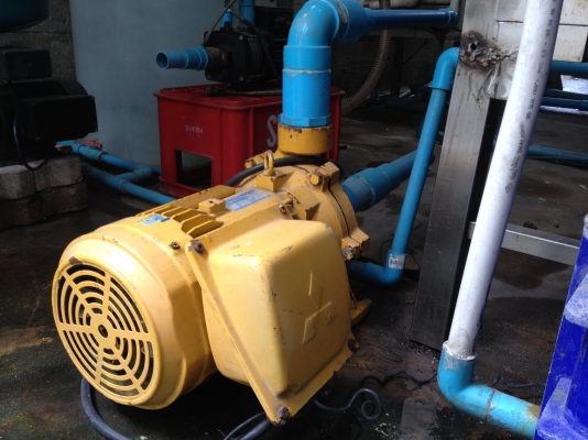 ขายปั๊ม mitsubishi