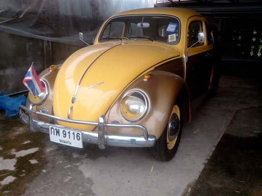 ขายรถโฟล์คปี 1959