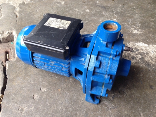 ขายปั้มน้ำหอยโข่ง Ebara 1HP. ไฟบ้าน 220 V ใบพัดทองเหลือง เข้า 1.2 นิ้ว ออก 1.2 นิ้ว สภาพสวยมาก วิ่งนิ่ม พร้อมใช้งาน