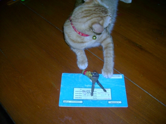 NISSAN FRONTIER KING CAB 4 WD BENZIN 24 จากโรงงาน LPG