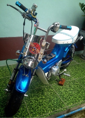 ขาย...!! ชาลีสีเกร็ดสีสวย