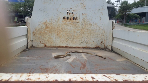 รถหกล้อดั้ม isuzu ks 110 ดั้ม 8 ตัน Fหน้าFหลัง พวงมาลัย เพาเวอร์