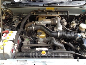 ขายดราก้อนพร้อมซิ่ง ขายดราก้อนพร้อมซิ่ง