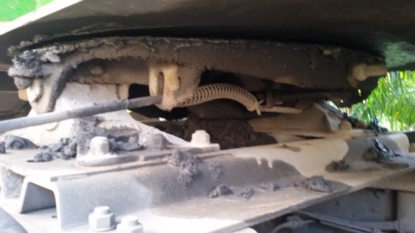 HINO MAGA FM คุณลูกค้าจากนครศรีธรรมราช มัดจำมากลางอากาศเป็นเงิน 50,000 บาท เพื่อขอดำเนินการจัดไฟแนนซ์ เงินเข้ามาเรียบร้อยแล้วค่ะ HINO MAGA FM คุณลูกค้าจากนครศรีธรรมราช มัดจำมากลางอากาศเป็นเงิน 50,000 บาท เพื่อขอดำเนินการจัดไฟแนนซ์ เงินเข้ามาเรียบร้อยแล้วค่ะ