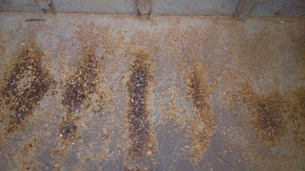 ขอบคุณลูกค้าจากราชบุรีและเทคทูแฮนด้วยคับ