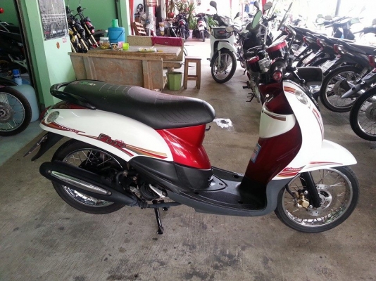 ฟีโน่เกแยก ปี 54