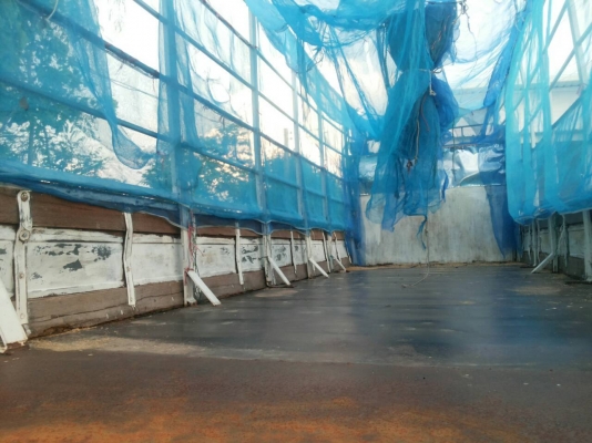 รถบรรทุก 6 ล้อกลาง