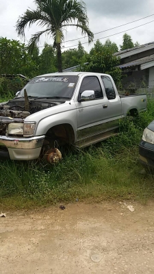 ไทเกอร์ ไทเกอร์