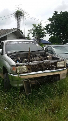 ไทเกอร์