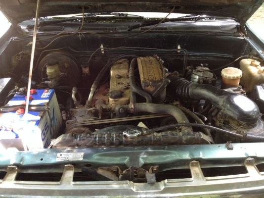 ขาย109000 รถ TFR บ้านๆ พร้อมใช้ พ.เวอร์ คัชชีสวยเดิมทั้งเส้น ขาย109000 รถ TFR บ้านๆ พร้อมใช้ พ.เวอร์ คัชชีสวยเดิมทั้งเส้น