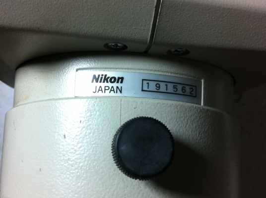 กล้องส่องขยาย Nikon จากญี่ปุ่นแท้ แบบสองตากำลังขยายสูงมองเห็นชัดปรับระยะโพกัสด้วยการหมุนปรับ