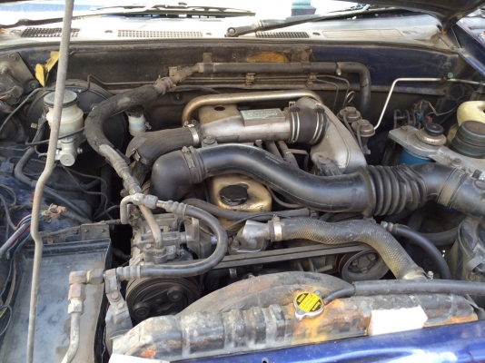 ขายดาก้อนอายตอนเดียว ขายดาก้อนอายตอนเดียว