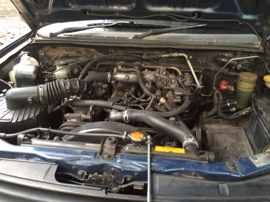 ขายดีแม็คตอนเดียว ขายดีแม็คตอนเดียว